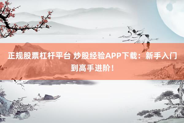 正规股票杠杆平台 炒股经验APP下载：新手入门到高手进阶！