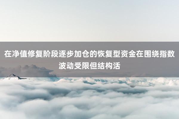 在净值修复阶段逐步加仓的恢复型资金在围绕指数波动受限但结构活