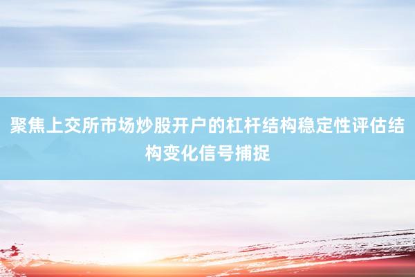 聚焦上交所市场炒股开户的杠杆结构稳定性评估结构变化信号捕捉