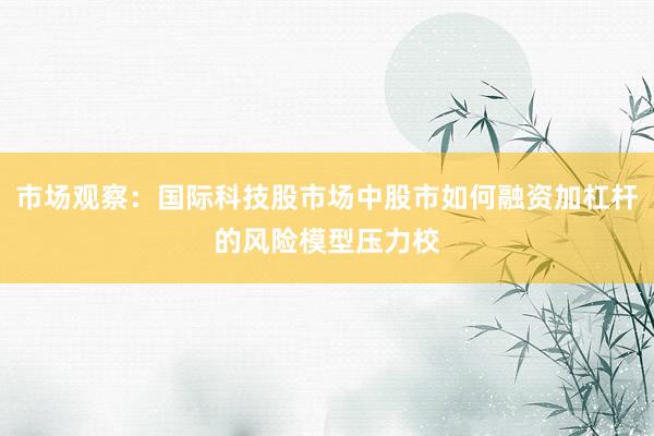 市场观察：国际科技股市场中股市如何融资加杠杆的风险模型压力校