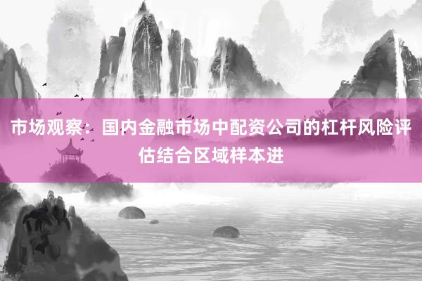 市场观察：国内金融市场中配资公司的杠杆风险评估结合区域样本进