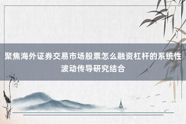 聚焦海外证券交易市场股票怎么融资杠杆的系统性波动传导研究结合