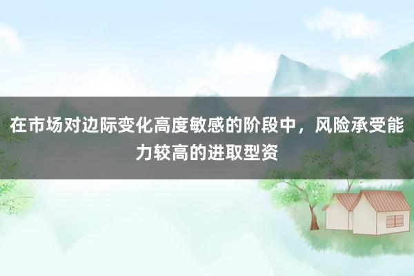 在市场对边际变化高度敏感的阶段中，风险承受能力较高的进取型资