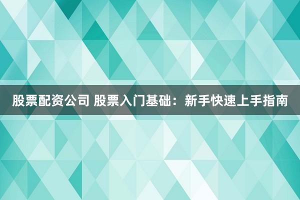 股票配资公司 股票入门基础：新手快速上手指南